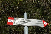11 Precise indicazioni